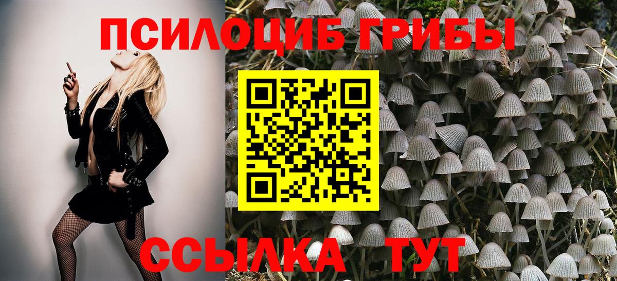 Галлюциногенные грибы Magic Shrooms Павлово