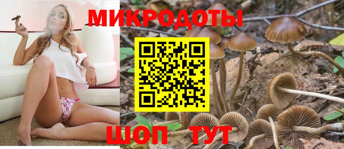 Павлово  Галлюциногенные грибы Magic Shrooms  Псилоцибиновые грибы Psilocybine cubensis  Вход с VPN 